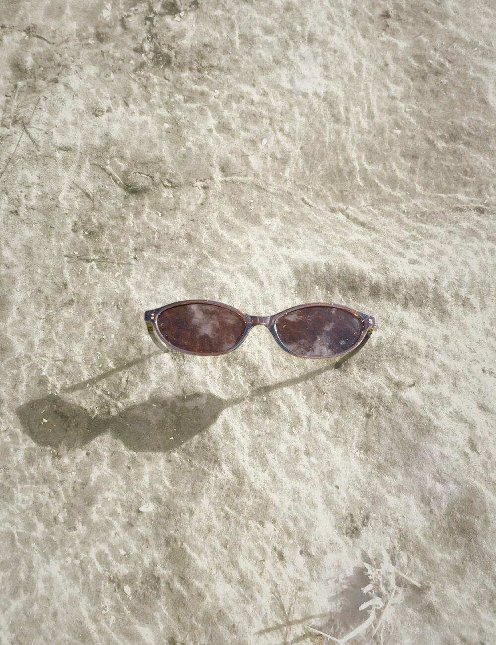 SOLARIUM SUNGLASSES brown - Image 3